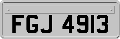 FGJ4913