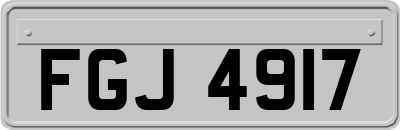 FGJ4917