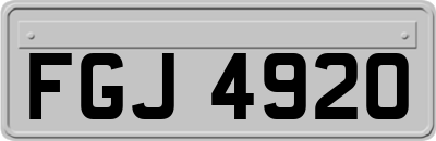FGJ4920
