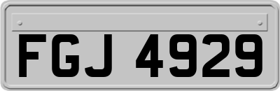 FGJ4929