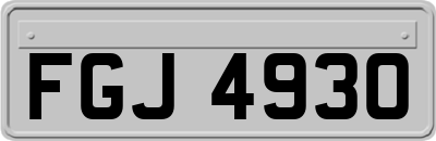 FGJ4930