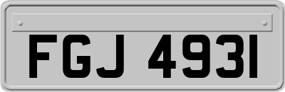 FGJ4931