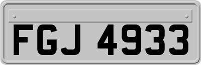 FGJ4933