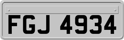 FGJ4934