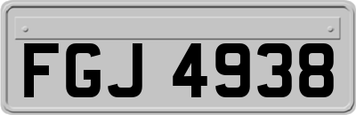 FGJ4938