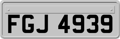 FGJ4939