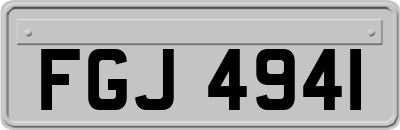 FGJ4941
