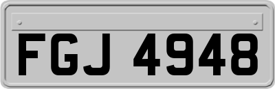 FGJ4948