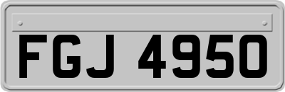 FGJ4950