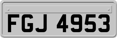 FGJ4953