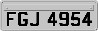 FGJ4954