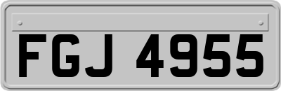 FGJ4955