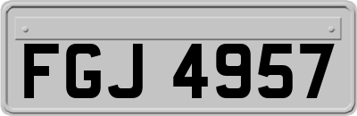 FGJ4957