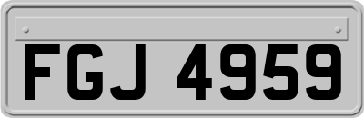 FGJ4959