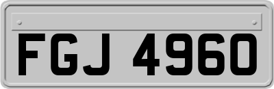 FGJ4960