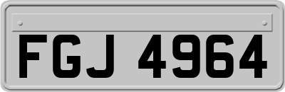 FGJ4964