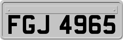 FGJ4965