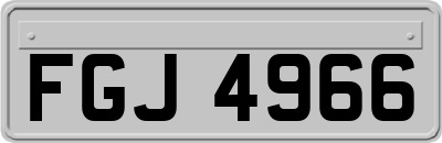FGJ4966