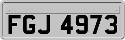 FGJ4973