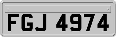 FGJ4974