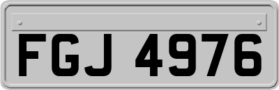 FGJ4976