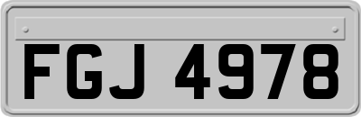 FGJ4978