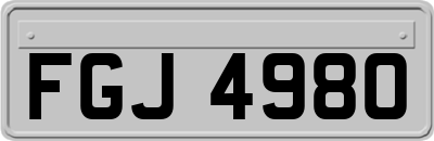 FGJ4980