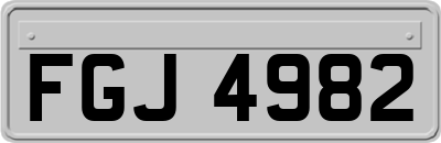 FGJ4982