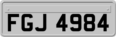 FGJ4984