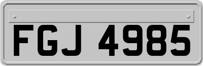 FGJ4985