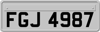 FGJ4987