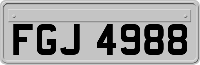 FGJ4988