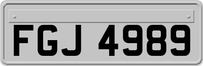 FGJ4989