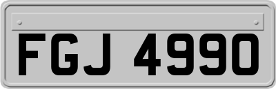 FGJ4990