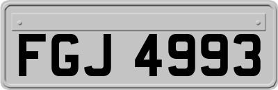 FGJ4993