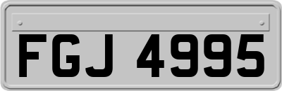 FGJ4995