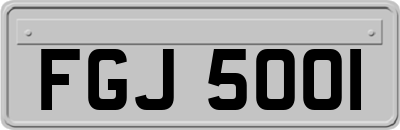 FGJ5001