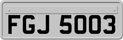 FGJ5003
