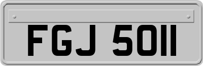 FGJ5011