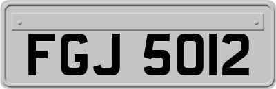 FGJ5012