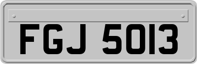 FGJ5013