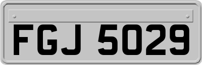 FGJ5029
