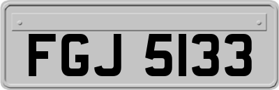 FGJ5133
