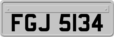 FGJ5134