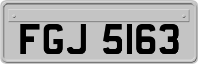 FGJ5163
