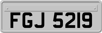 FGJ5219