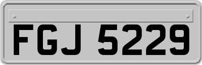 FGJ5229