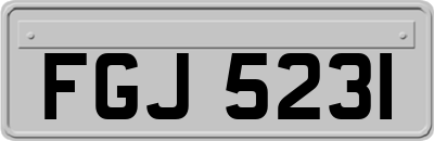 FGJ5231