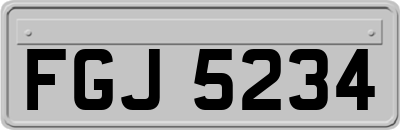 FGJ5234