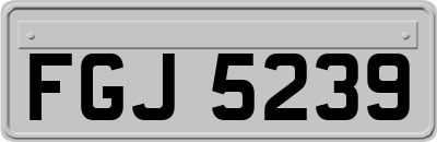 FGJ5239